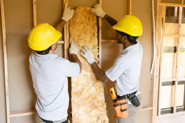 Best Insulation Replacement  in Essexville, MI